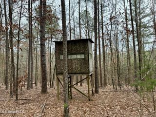 Laws Hill Road, Holly Springs, MS 38635