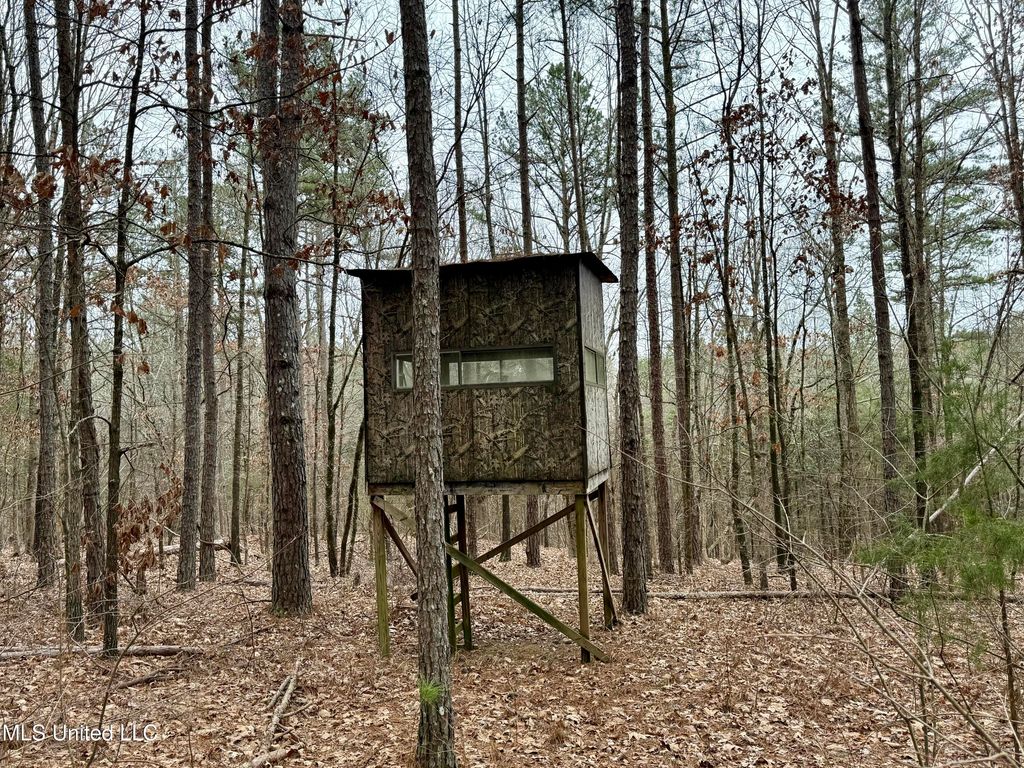 Laws Hill Road, Holly Springs, MS 38635