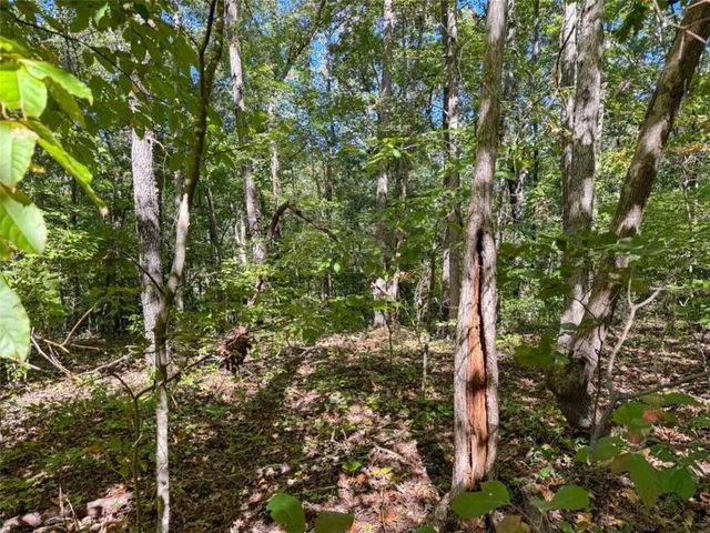 0 Barrington, Covington, GA 30016