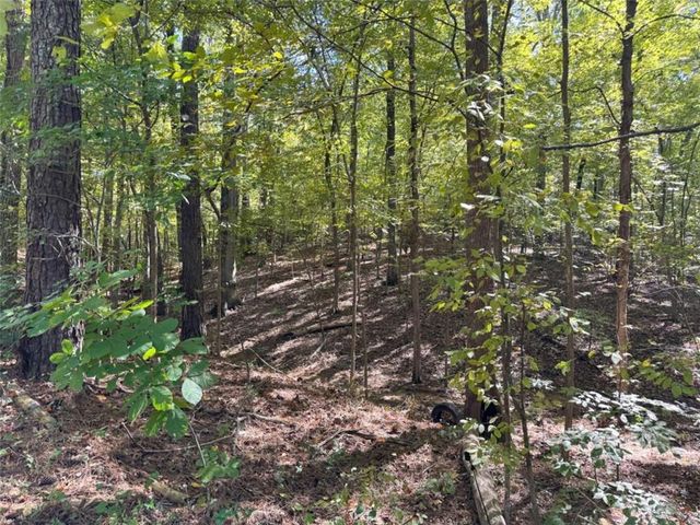 0 Barrington, Covington, GA 30016