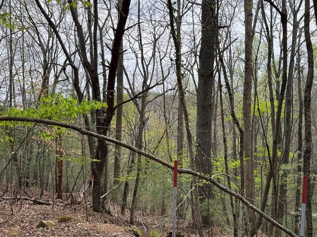 487 Wikle Road, Hayesville, NC 28904