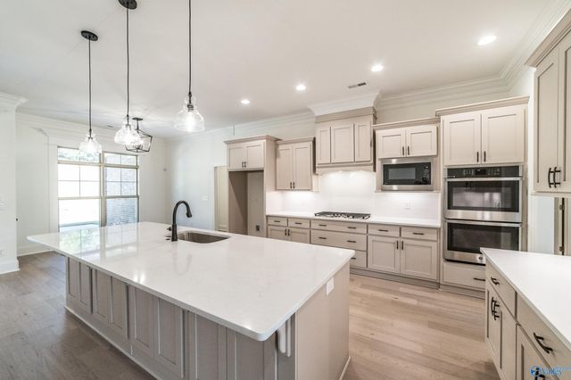 9117 Wagon Pass Way, Owens Cross Roads, AL 35763