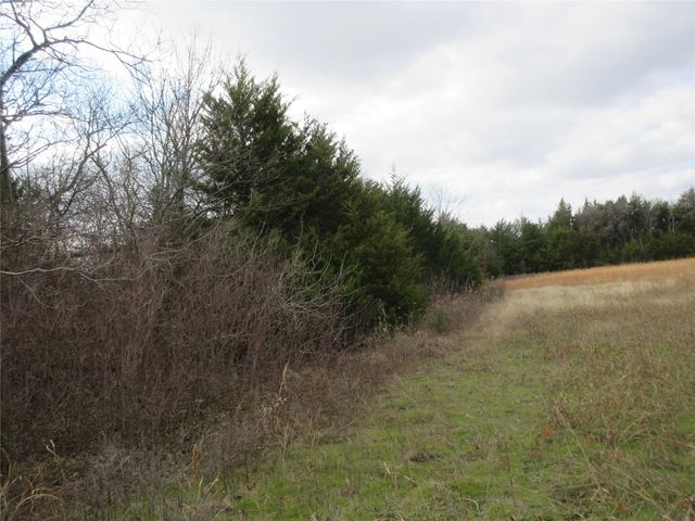 TBD County Road 3040, Bonham, TX 75418