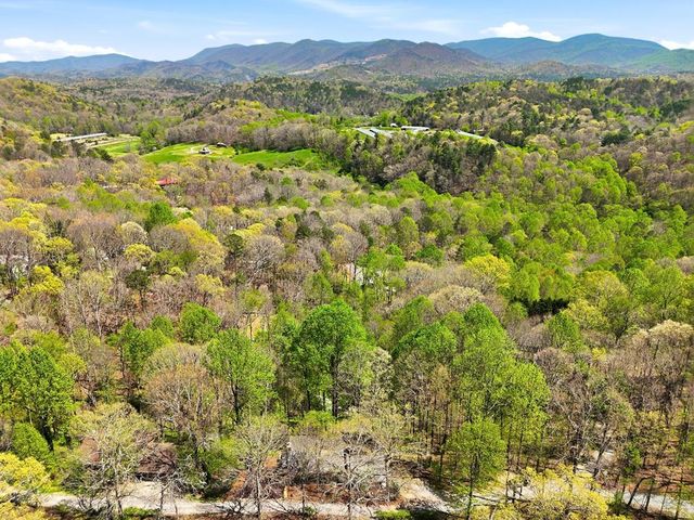 183 Dogwood Court, Ellijay, GA 30540