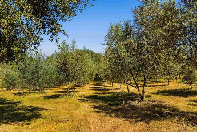 28808 Mountain Meadow, Escondido, CA 92026