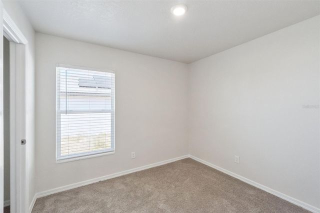 1729 CANAAN LOOP, Dundee, FL 33838