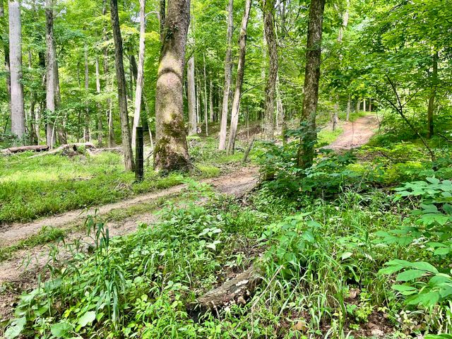 2301 Combes Road, Quincy, IN 47456