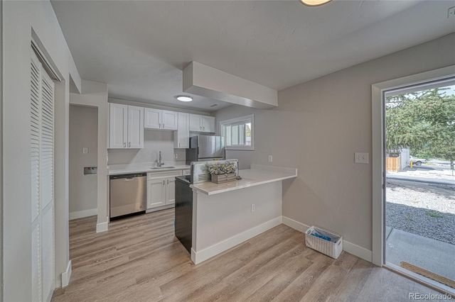 921 Mt Massive Drive 4, Leadville, CO 80461