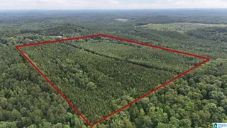 0 SKYVIEW LAKE ROAD, Cottondale, AL 35453