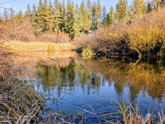 26310 N River Estates Dr, Chattaroy, WA 99003
