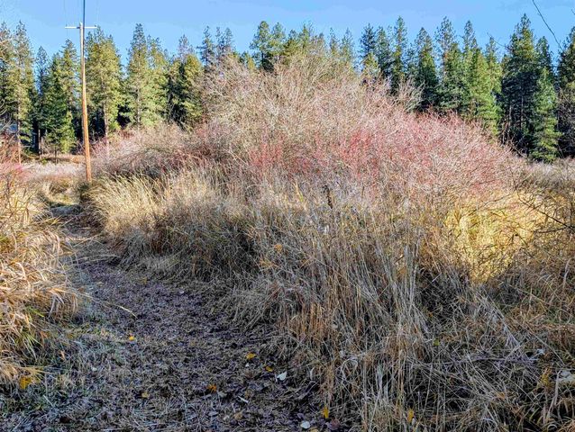 26310 N River Estates Dr, Chattaroy, WA 99003