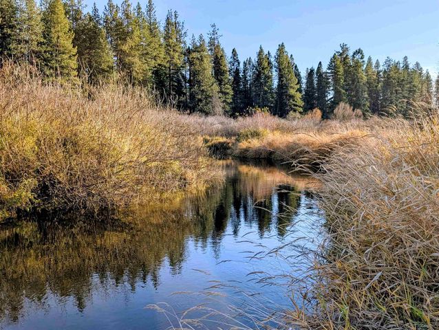 26310 N River Estates Dr, Chattaroy, WA 99003