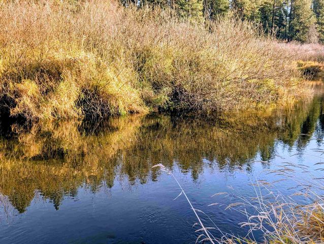 26310 N River Estates Dr, Chattaroy, WA 99003