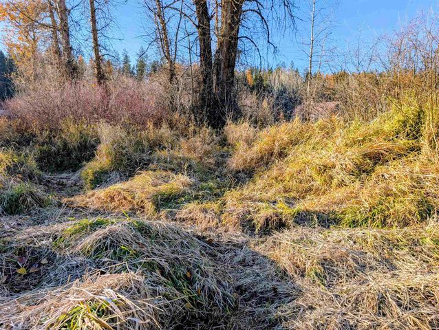 26310 N River Estates Dr, Chattaroy, WA 99003