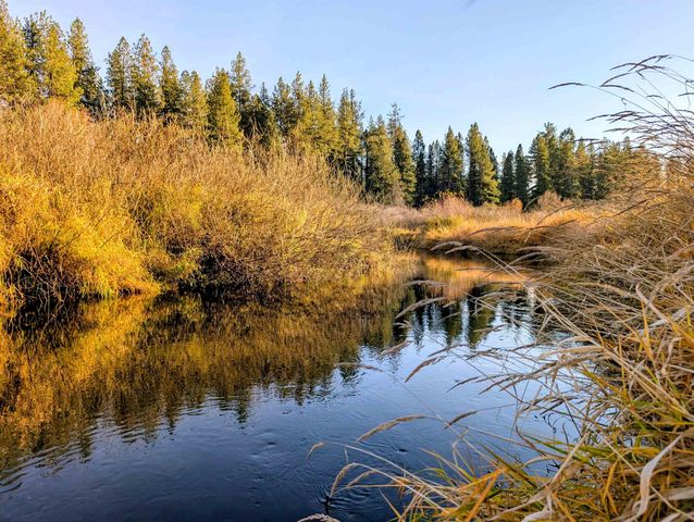 26310 N River Estates Dr, Chattaroy, WA 99003