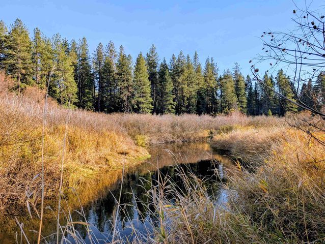 26310 N River Estates Dr, Chattaroy, WA 99003