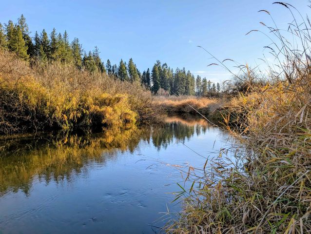26310 N River Estates Dr, Chattaroy, WA 99003