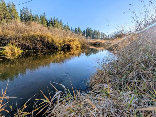 26310 N River Estates Dr, Chattaroy, WA 99003