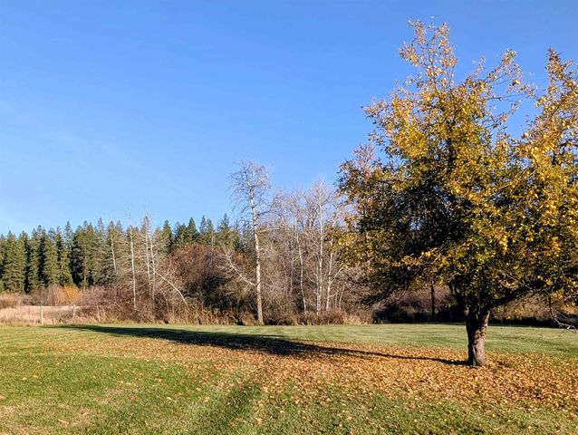 26310 N River Estates Dr, Chattaroy, WA 99003