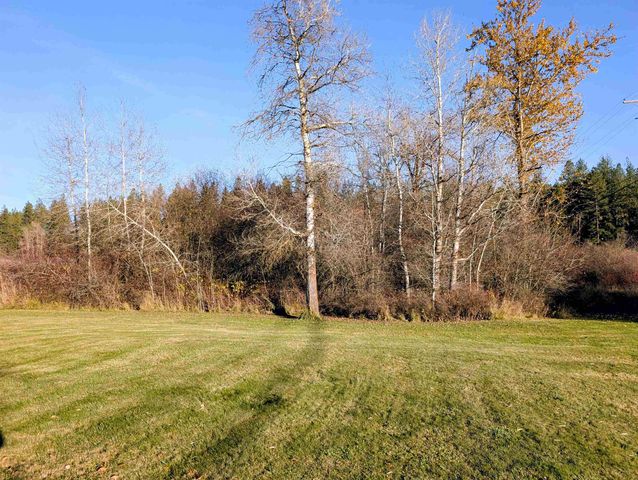 26310 N River Estates Dr, Chattaroy, WA 99003