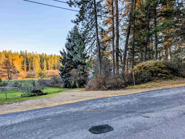 26310 N River Estates Dr, Chattaroy, WA 99003