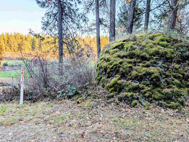 26310 N River Estates Dr, Chattaroy, WA 99003