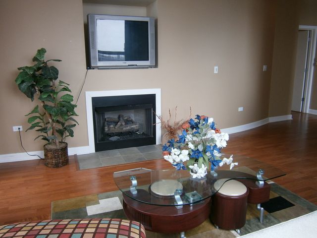 1305 S Michigan Avenue 805, Chicago, IL 60605