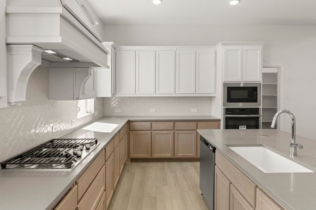 4308 Slickrock Way, Little Elm, TX 75068