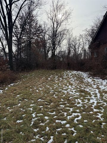 8601 Chalfonte Street, Detroit, MI 48238