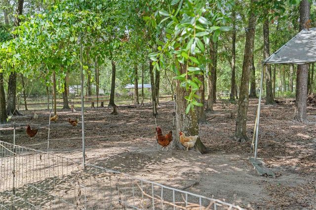 4050 NE 172ND COURT, Williston, FL 32696