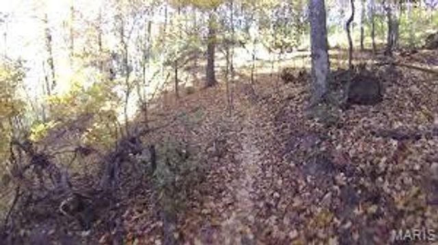 1827 Pheasant Run Drive, Maryland Heights, MO 63043