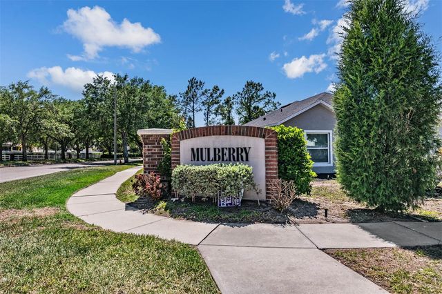 10945 SUBTLE TRAIL DRIVE, Riverview, FL 33569