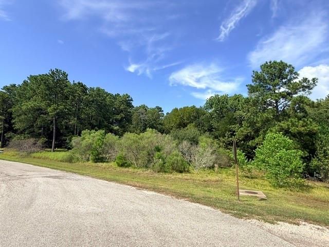 TBD0 Kings Point Drive, Coldspring, TX 77331