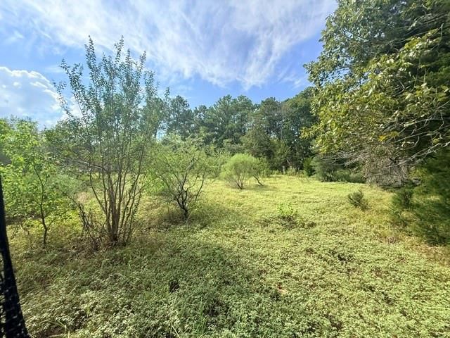 TBD0 Kings Point Drive, Coldspring, TX 77331