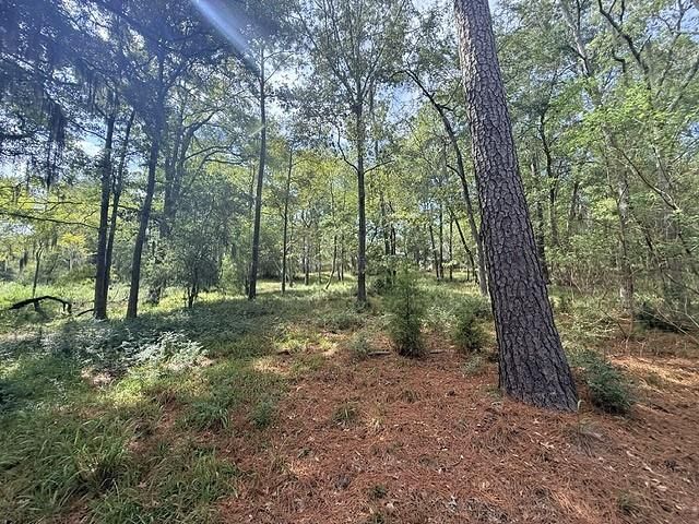 TBD0 Kings Point Drive, Coldspring, TX 77331