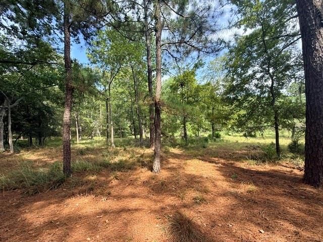 TBD0 Kings Point Drive, Coldspring, TX 77331