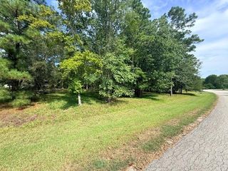 TBD0 Kings Point Drive, Coldspring, TX 77331