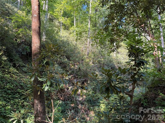 267 Cedar Falls Drive 7, Lake Lure, NC 28746