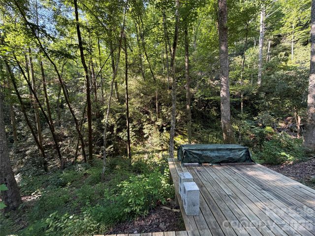 267 Cedar Falls Drive 7, Lake Lure, NC 28746