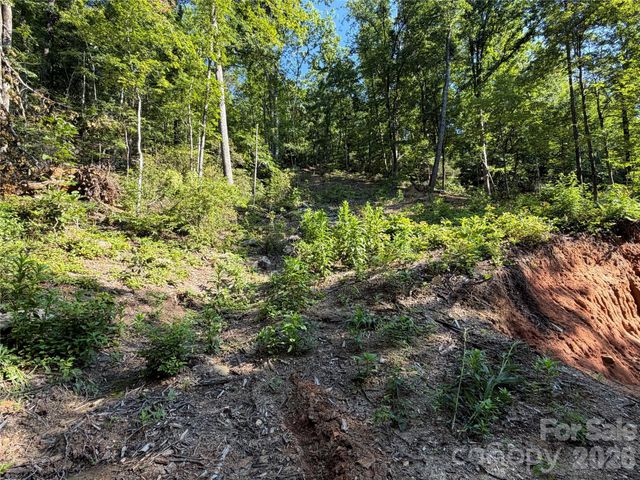 267 Cedar Falls Drive 7, Lake Lure, NC 28746