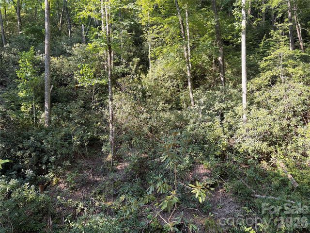 267 Cedar Falls Drive 7, Lake Lure, NC 28746