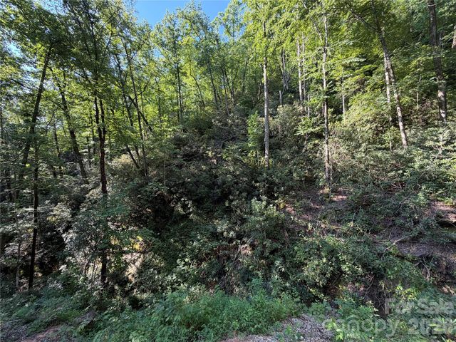 267 Cedar Falls Drive 7, Lake Lure, NC 28746