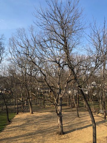 3806 Harding Pl, Nashville, TN 37215