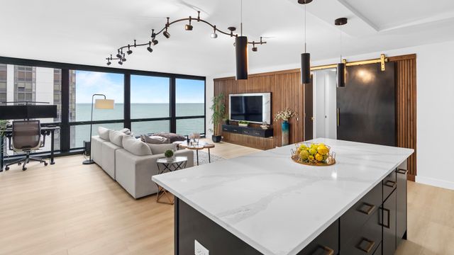 900 N Lake Shore Drive 1607, Chicago, IL 60611