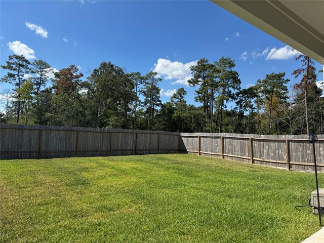 24463 Saffron Field Lane, Spring, TX 77373