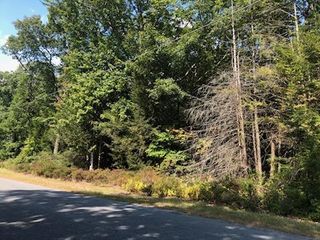 Renner Road, Fallsburg, NY 12733