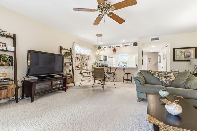 9034 LAKE PLACE LANE 9034, Tampa, FL 33634