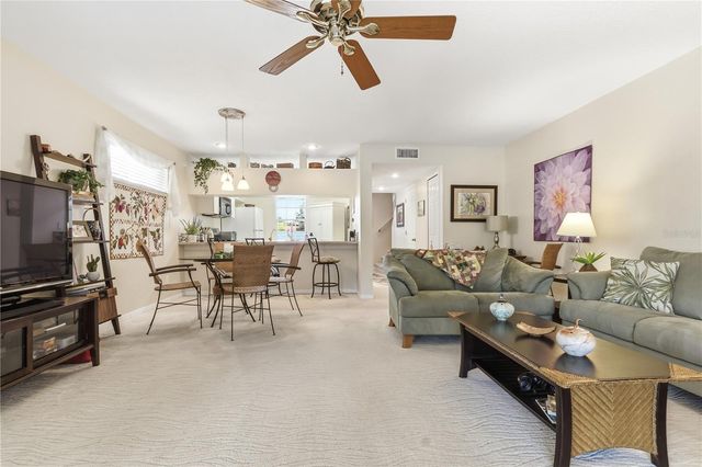 9034 LAKE PLACE LANE 9034, Tampa, FL 33634