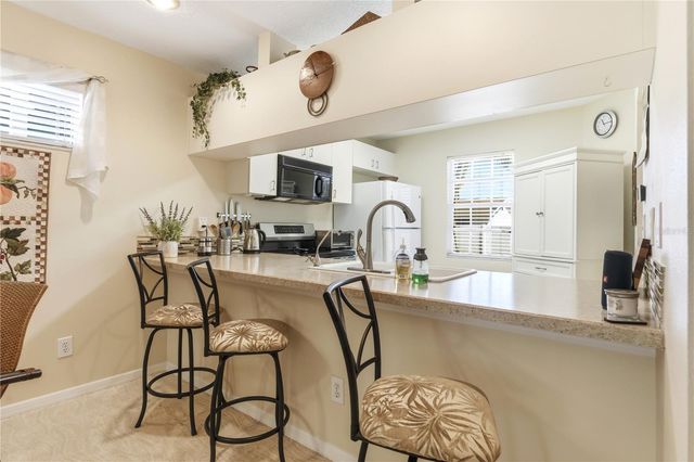 9034 LAKE PLACE LANE 9034, Tampa, FL 33634