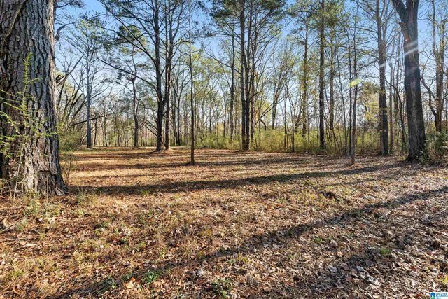 4667 TRUSSVILLE CLAY ROAD, Trussville, AL 35173